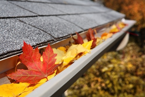 Umbrella Property Services - Gutter Cleaning Safety Tips