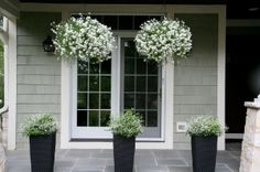 exterior cleaning for improving the curb appeal of your home