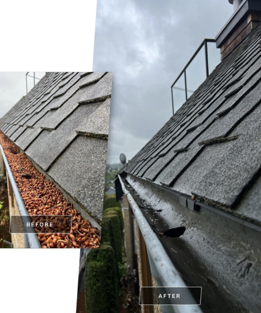 Gutter Cleaning Before & After